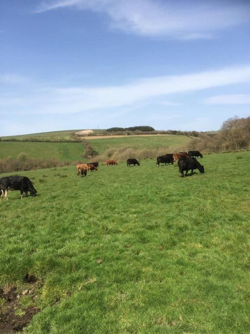 Farmer Bob'S Farmhouse Barnstaple Eksteriør bilde